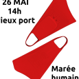 PNG - 244.2 kio